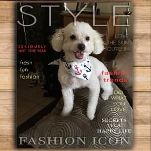 Meet your Posher, Rita